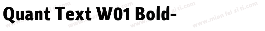 Quant Text W01 Bold字体转换